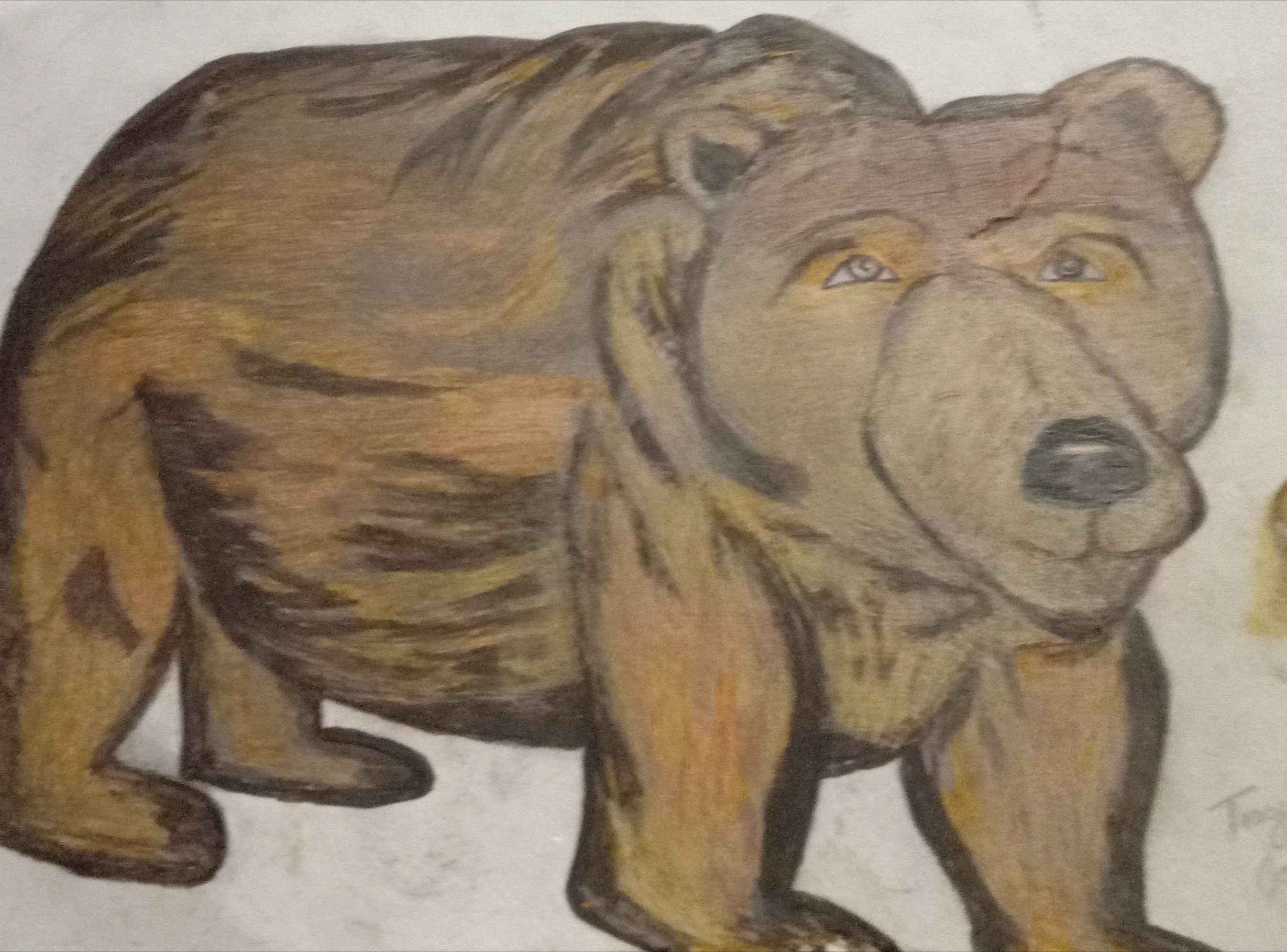 Bear Spirit (Colored)