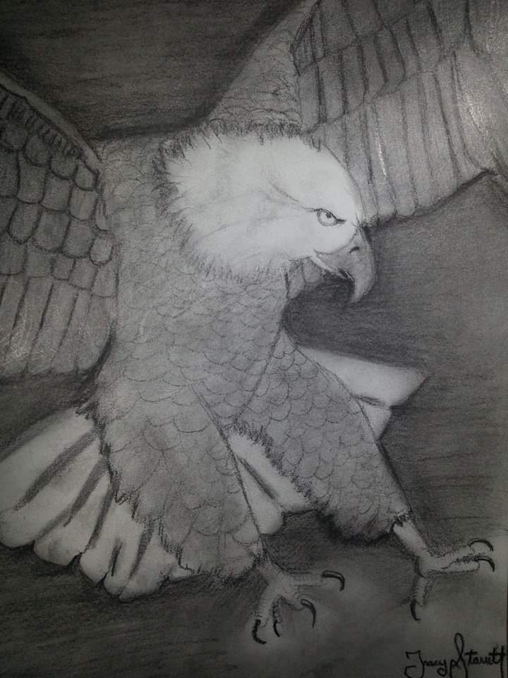 Real Eyes Realize Real Lies